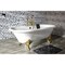 Aqua Eden Clawfoot Bathtubs, 72 L, 31.88 W, White/Polished Brass, Cast Iron VCT7DE7232NL2 - alternate 3